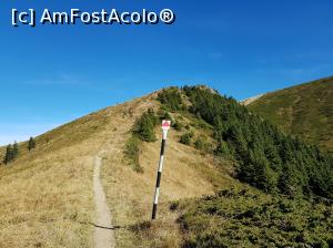 [P27] Urmărim marcajul către ”La răscruce”.  » foto by Floryn81
 - 
<span class="allrVoted glyphicon glyphicon-heart hidden" id="av1121443"></span>
<a class="m-l-10 hidden" id="sv1121443" onclick="voting_Foto_DelVot(,1121443,4696)" role="button">șterge vot <span class="glyphicon glyphicon-remove"></span></a>
<a id="v91121443" class=" c-red"  onclick="voting_Foto_SetVot(1121443)" role="button"><span class="glyphicon glyphicon-heart-empty"></span> <b>LIKE</b> = Votează poza</a> <img class="hidden"  id="f1121443W9" src="/imagini/loader.gif" border="0" /><span class="AjErrMes hidden" id="e1121443ErM"></span>