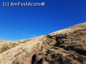 [P28] Tot mai sus, pe un traseu foarte frumos.  » foto by Floryn81
 - 
<span class="allrVoted glyphicon glyphicon-heart hidden" id="av1121445"></span>
<a class="m-l-10 hidden" id="sv1121445" onclick="voting_Foto_DelVot(,1121445,4696)" role="button">șterge vot <span class="glyphicon glyphicon-remove"></span></a>
<a id="v91121445" class=" c-red"  onclick="voting_Foto_SetVot(1121445)" role="button"><span class="glyphicon glyphicon-heart-empty"></span> <b>LIKE</b> = Votează poza</a> <img class="hidden"  id="f1121445W9" src="/imagini/loader.gif" border="0" /><span class="AjErrMes hidden" id="e1121445ErM"></span>