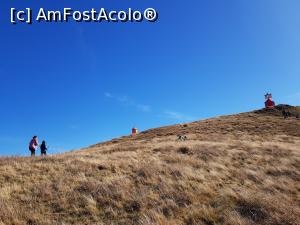 [P35] Pe culme, spre Vârful Gropșoarele.  » foto by Floryn81
 - 
<span class="allrVoted glyphicon glyphicon-heart hidden" id="av1121474"></span>
<a class="m-l-10 hidden" id="sv1121474" onclick="voting_Foto_DelVot(,1121474,4696)" role="button">șterge vot <span class="glyphicon glyphicon-remove"></span></a>
<a id="v91121474" class=" c-red"  onclick="voting_Foto_SetVot(1121474)" role="button"><span class="glyphicon glyphicon-heart-empty"></span> <b>LIKE</b> = Votează poza</a> <img class="hidden"  id="f1121474W9" src="/imagini/loader.gif" border="0" /><span class="AjErrMes hidden" id="e1121474ErM"></span>