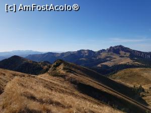 [P47] Toamna în Munții Ciucaș.  » foto by Floryn81
 - 
<span class="allrVoted glyphicon glyphicon-heart hidden" id="av1121503"></span>
<a class="m-l-10 hidden" id="sv1121503" onclick="voting_Foto_DelVot(,1121503,4696)" role="button">șterge vot <span class="glyphicon glyphicon-remove"></span></a>
<a id="v91121503" class=" c-red"  onclick="voting_Foto_SetVot(1121503)" role="button"><span class="glyphicon glyphicon-heart-empty"></span> <b>LIKE</b> = Votează poza</a> <img class="hidden"  id="f1121503W9" src="/imagini/loader.gif" border="0" /><span class="AjErrMes hidden" id="e1121503ErM"></span>
