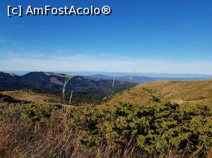 [P48] Toamna în Munții Ciucaș.  » foto by Floryn81
 - 
<span class="allrVoted glyphicon glyphicon-heart hidden" id="av1121504"></span>
<a class="m-l-10 hidden" id="sv1121504" onclick="voting_Foto_DelVot(,1121504,4696)" role="button">șterge vot <span class="glyphicon glyphicon-remove"></span></a>
<a id="v91121504" class=" c-red"  onclick="voting_Foto_SetVot(1121504)" role="button"><span class="glyphicon glyphicon-heart-empty"></span> <b>LIKE</b> = Votează poza</a> <img class="hidden"  id="f1121504W9" src="/imagini/loader.gif" border="0" /><span class="AjErrMes hidden" id="e1121504ErM"></span>