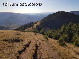 [P49] Coboram spre Cabana Muntele Roșu.  » foto by Floryn81
 - 
<span class="allrVoted glyphicon glyphicon-heart hidden" id="av1121505"></span>
<a class="m-l-10 hidden" id="sv1121505" onclick="voting_Foto_DelVot(,1121505,4696)" role="button">șterge vot <span class="glyphicon glyphicon-remove"></span></a>
<a id="v91121505" class=" c-red"  onclick="voting_Foto_SetVot(1121505)" role="button"><span class="glyphicon glyphicon-heart-empty"></span> <b>LIKE</b> = Votează poza</a> <img class="hidden"  id="f1121505W9" src="/imagini/loader.gif" border="0" /><span class="AjErrMes hidden" id="e1121505ErM"></span>