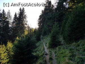 [P51] Seara se apropia încetișor. Umbrele se tot lungeau în jurul nostru.  » foto by Floryn81
 - 
<span class="allrVoted glyphicon glyphicon-heart hidden" id="av1121507"></span>
<a class="m-l-10 hidden" id="sv1121507" onclick="voting_Foto_DelVot(,1121507,4696)" role="button">șterge vot <span class="glyphicon glyphicon-remove"></span></a>
<a id="v91121507" class=" c-red"  onclick="voting_Foto_SetVot(1121507)" role="button"><span class="glyphicon glyphicon-heart-empty"></span> <b>LIKE</b> = Votează poza</a> <img class="hidden"  id="f1121507W9" src="/imagini/loader.gif" border="0" /><span class="AjErrMes hidden" id="e1121507ErM"></span>