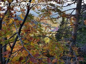 [P54] Simfonie de culori în Munții Ciucaș.  » foto by Floryn81
 - 
<span class="allrVoted glyphicon glyphicon-heart hidden" id="av1121510"></span>
<a class="m-l-10 hidden" id="sv1121510" onclick="voting_Foto_DelVot(,1121510,4696)" role="button">șterge vot <span class="glyphicon glyphicon-remove"></span></a>
<a id="v91121510" class=" c-red"  onclick="voting_Foto_SetVot(1121510)" role="button"><span class="glyphicon glyphicon-heart-empty"></span> <b>LIKE</b> = Votează poza</a> <img class="hidden"  id="f1121510W9" src="/imagini/loader.gif" border="0" /><span class="AjErrMes hidden" id="e1121510ErM"></span>