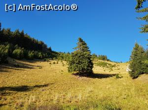 [P55] Munții Ciucaș - peisaje de vis.  » foto by Floryn81
 - 
<span class="allrVoted glyphicon glyphicon-heart hidden" id="av1121511"></span>
<a class="m-l-10 hidden" id="sv1121511" onclick="voting_Foto_DelVot(,1121511,4696)" role="button">șterge vot <span class="glyphicon glyphicon-remove"></span></a>
<a id="v91121511" class=" c-red"  onclick="voting_Foto_SetVot(1121511)" role="button"><span class="glyphicon glyphicon-heart-empty"></span> <b>LIKE</b> = Votează poza</a> <img class="hidden"  id="f1121511W9" src="/imagini/loader.gif" border="0" /><span class="AjErrMes hidden" id="e1121511ErM"></span>