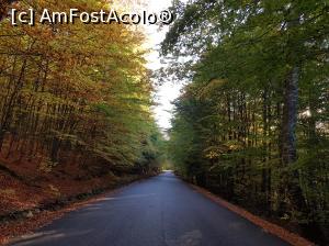 [P59] Culori de toamnă în Munții Ciucaș.  » foto by Floryn81
 - 
<span class="allrVoted glyphicon glyphicon-heart hidden" id="av1121515"></span>
<a class="m-l-10 hidden" id="sv1121515" onclick="voting_Foto_DelVot(,1121515,4696)" role="button">șterge vot <span class="glyphicon glyphicon-remove"></span></a>
<a id="v91121515" class=" c-red"  onclick="voting_Foto_SetVot(1121515)" role="button"><span class="glyphicon glyphicon-heart-empty"></span> <b>LIKE</b> = Votează poza</a> <img class="hidden"  id="f1121515W9" src="/imagini/loader.gif" border="0" /><span class="AjErrMes hidden" id="e1121515ErM"></span>