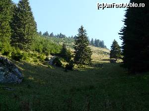 [P01] Intrare pe traseu » foto by iuliaen
 - 
<span class="allrVoted glyphicon glyphicon-heart hidden" id="av584940"></span>
<a class="m-l-10 hidden" id="sv584940" onclick="voting_Foto_DelVot(,584940,4696)" role="button">șterge vot <span class="glyphicon glyphicon-remove"></span></a>
<a id="v9584940" class=" c-red"  onclick="voting_Foto_SetVot(584940)" role="button"><span class="glyphicon glyphicon-heart-empty"></span> <b>LIKE</b> = Votează poza</a> <img class="hidden"  id="f584940W9" src="/imagini/loader.gif" border="0" /><span class="AjErrMes hidden" id="e584940ErM"></span>