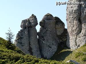 [P10] Babele la Sfat » foto by iuliaen
 - 
<span class="allrVoted glyphicon glyphicon-heart hidden" id="av584950"></span>
<a class="m-l-10 hidden" id="sv584950" onclick="voting_Foto_DelVot(,584950,4696)" role="button">șterge vot <span class="glyphicon glyphicon-remove"></span></a>
<a id="v9584950" class=" c-red"  onclick="voting_Foto_SetVot(584950)" role="button"><span class="glyphicon glyphicon-heart-empty"></span> <b>LIKE</b> = Votează poza</a> <img class="hidden"  id="f584950W9" src="/imagini/loader.gif" border="0" /><span class="AjErrMes hidden" id="e584950ErM"></span>