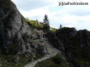 [P17] Dar dupa coborare, urmeaza un alt urcus » foto by iuliaen
 - 
<span class="allrVoted glyphicon glyphicon-heart hidden" id="av584958"></span>
<a class="m-l-10 hidden" id="sv584958" onclick="voting_Foto_DelVot(,584958,4696)" role="button">șterge vot <span class="glyphicon glyphicon-remove"></span></a>
<a id="v9584958" class=" c-red"  onclick="voting_Foto_SetVot(584958)" role="button"><span class="glyphicon glyphicon-heart-empty"></span> <b>LIKE</b> = Votează poza</a> <img class="hidden"  id="f584958W9" src="/imagini/loader.gif" border="0" /><span class="AjErrMes hidden" id="e584958ErM"></span>