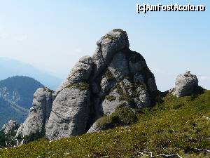 [P19] Turnul 'Goliat' sau Mosul cu oile » foto by iuliaen
 - 
<span class="allrVoted glyphicon glyphicon-heart hidden" id="av584960"></span>
<a class="m-l-10 hidden" id="sv584960" onclick="voting_Foto_DelVot(,584960,4696)" role="button">șterge vot <span class="glyphicon glyphicon-remove"></span></a>
<a id="v9584960" class=" c-red"  onclick="voting_Foto_SetVot(584960)" role="button"><span class="glyphicon glyphicon-heart-empty"></span> <b>LIKE</b> = Votează poza</a> <img class="hidden"  id="f584960W9" src="/imagini/loader.gif" border="0" /><span class="AjErrMes hidden" id="e584960ErM"></span>