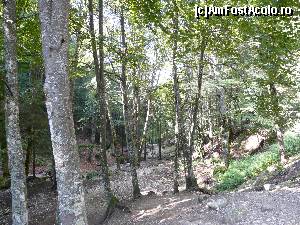 [P02] Traseul prin padure de la Cabana Muntele Rosu » foto by iuliaen
 - 
<span class="allrVoted glyphicon glyphicon-heart hidden" id="av584941"></span>
<a class="m-l-10 hidden" id="sv584941" onclick="voting_Foto_DelVot(,584941,4696)" role="button">șterge vot <span class="glyphicon glyphicon-remove"></span></a>
<a id="v9584941" class=" c-red"  onclick="voting_Foto_SetVot(584941)" role="button"><span class="glyphicon glyphicon-heart-empty"></span> <b>LIKE</b> = Votează poza</a> <img class="hidden"  id="f584941W9" src="/imagini/loader.gif" border="0" /><span class="AjErrMes hidden" id="e584941ErM"></span>