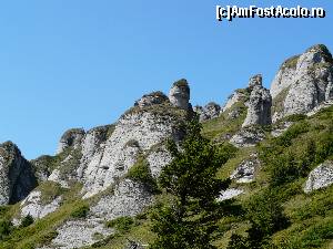 [P07]  -- <small>// FĂRĂ DESCRIERE</small> » foto by iuliaen
 - 
<span class="allrVoted glyphicon glyphicon-heart hidden" id="av584947"></span>
<a class="m-l-10 hidden" id="sv584947" onclick="voting_Foto_DelVot(,584947,4696)" role="button">șterge vot <span class="glyphicon glyphicon-remove"></span></a>
<a id="v9584947" class=" c-red"  onclick="voting_Foto_SetVot(584947)" role="button"><span class="glyphicon glyphicon-heart-empty"></span> <b>LIKE</b> = Votează poza</a> <img class="hidden"  id="f584947W9" src="/imagini/loader.gif" border="0" /><span class="AjErrMes hidden" id="e584947ErM"></span>