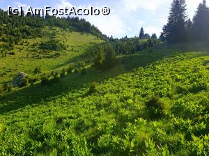 [P01] la pas prin Munții Ciucaș » foto by robert
 - 
<span class="allrVoted glyphicon glyphicon-heart hidden" id="av1166097"></span>
<a class="m-l-10 hidden" id="sv1166097" onclick="voting_Foto_DelVot(,1166097,4696)" role="button">șterge vot <span class="glyphicon glyphicon-remove"></span></a>
<a id="v91166097" class=" c-red"  onclick="voting_Foto_SetVot(1166097)" role="button"><span class="glyphicon glyphicon-heart-empty"></span> <b>LIKE</b> = Votează poza</a> <img class="hidden"  id="f1166097W9" src="/imagini/loader.gif" border="0" /><span class="AjErrMes hidden" id="e1166097ErM"></span>