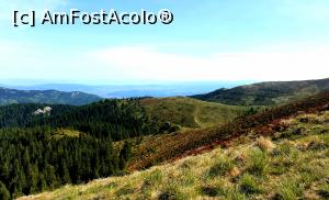 [P10] frumoasă-i viața sus în munti » foto by robert
 - 
<span class="allrVoted glyphicon glyphicon-heart hidden" id="av1166106"></span>
<a class="m-l-10 hidden" id="sv1166106" onclick="voting_Foto_DelVot(,1166106,4696)" role="button">șterge vot <span class="glyphicon glyphicon-remove"></span></a>
<a id="v91166106" class=" c-red"  onclick="voting_Foto_SetVot(1166106)" role="button"><span class="glyphicon glyphicon-heart-empty"></span> <b>LIKE</b> = Votează poza</a> <img class="hidden"  id="f1166106W9" src="/imagini/loader.gif" border="0" /><span class="AjErrMes hidden" id="e1166106ErM"></span>