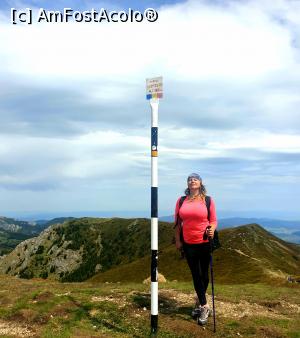 [P15] nebun de roz în Gropșoarele » foto by robert
 - 
<span class="allrVoted glyphicon glyphicon-heart hidden" id="av1166111"></span>
<a class="m-l-10 hidden" id="sv1166111" onclick="voting_Foto_DelVot(,1166111,4696)" role="button">șterge vot <span class="glyphicon glyphicon-remove"></span></a>
<a id="v91166111" class=" c-red"  onclick="voting_Foto_SetVot(1166111)" role="button"><span class="glyphicon glyphicon-heart-empty"></span> <b>LIKE</b> = Votează poza</a> <img class="hidden"  id="f1166111W9" src="/imagini/loader.gif" border="0" /><span class="AjErrMes hidden" id="e1166111ErM"></span>