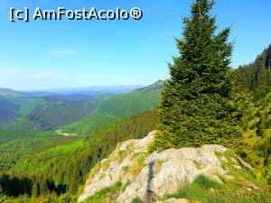 [P02] la pas prin Munții Ciucaș » foto by robert
 - 
<span class="allrVoted glyphicon glyphicon-heart hidden" id="av1166098"></span>
<a class="m-l-10 hidden" id="sv1166098" onclick="voting_Foto_DelVot(,1166098,4696)" role="button">șterge vot <span class="glyphicon glyphicon-remove"></span></a>
<a id="v91166098" class=" c-red"  onclick="voting_Foto_SetVot(1166098)" role="button"><span class="glyphicon glyphicon-heart-empty"></span> <b>LIKE</b> = Votează poza</a> <img class="hidden"  id="f1166098W9" src="/imagini/loader.gif" border="0" /><span class="AjErrMes hidden" id="e1166098ErM"></span>