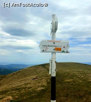 [P23] in ce directie să o mai apucăm? » foto by robert
 - 
<span class="allrVoted glyphicon glyphicon-heart hidden" id="av1166119"></span>
<a class="m-l-10 hidden" id="sv1166119" onclick="voting_Foto_DelVot(,1166119,4696)" role="button">șterge vot <span class="glyphicon glyphicon-remove"></span></a>
<a id="v91166119" class=" c-red"  onclick="voting_Foto_SetVot(1166119)" role="button"><span class="glyphicon glyphicon-heart-empty"></span> <b>LIKE</b> = Votează poza</a> <img class="hidden"  id="f1166119W9" src="/imagini/loader.gif" border="0" /><span class="AjErrMes hidden" id="e1166119ErM"></span>