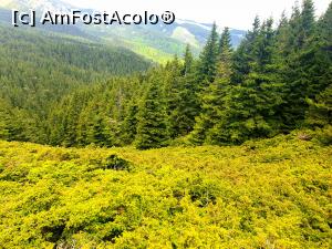 [P29] la pas prin munții Ciucaș » foto by robert
 - 
<span class="allrVoted glyphicon glyphicon-heart hidden" id="av1166125"></span>
<a class="m-l-10 hidden" id="sv1166125" onclick="voting_Foto_DelVot(,1166125,4696)" role="button">șterge vot <span class="glyphicon glyphicon-remove"></span></a>
<a id="v91166125" class=" c-red"  onclick="voting_Foto_SetVot(1166125)" role="button"><span class="glyphicon glyphicon-heart-empty"></span> <b>LIKE</b> = Votează poza</a> <img class="hidden"  id="f1166125W9" src="/imagini/loader.gif" border="0" /><span class="AjErrMes hidden" id="e1166125ErM"></span>