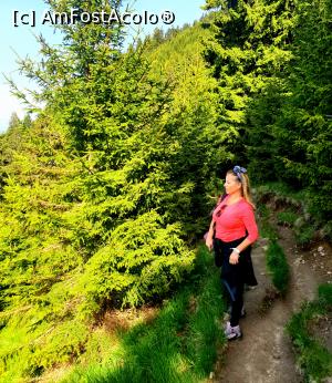 [P03] la pas prin Munții Ciucaș » foto by robert
 - 
<span class="allrVoted glyphicon glyphicon-heart hidden" id="av1166099"></span>
<a class="m-l-10 hidden" id="sv1166099" onclick="voting_Foto_DelVot(,1166099,4696)" role="button">șterge vot <span class="glyphicon glyphicon-remove"></span></a>
<a id="v91166099" class=" c-red"  onclick="voting_Foto_SetVot(1166099)" role="button"><span class="glyphicon glyphicon-heart-empty"></span> <b>LIKE</b> = Votează poza</a> <img class="hidden"  id="f1166099W9" src="/imagini/loader.gif" border="0" /><span class="AjErrMes hidden" id="e1166099ErM"></span>