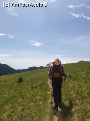 [P35] greu la deal cu boii mari » foto by robert
 - 
<span class="allrVoted glyphicon glyphicon-heart hidden" id="av1166131"></span>
<a class="m-l-10 hidden" id="sv1166131" onclick="voting_Foto_DelVot(,1166131,4696)" role="button">șterge vot <span class="glyphicon glyphicon-remove"></span></a>
<a id="v91166131" class=" c-red"  onclick="voting_Foto_SetVot(1166131)" role="button"><span class="glyphicon glyphicon-heart-empty"></span> <b>LIKE</b> = Votează poza</a> <img class="hidden"  id="f1166131W9" src="/imagini/loader.gif" border="0" /><span class="AjErrMes hidden" id="e1166131ErM"></span>