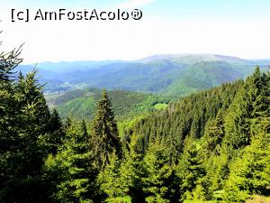 [P04] la pas prin Munții Ciucaș » foto by robert
 - 
<span class="allrVoted glyphicon glyphicon-heart hidden" id="av1166100"></span>
<a class="m-l-10 hidden" id="sv1166100" onclick="voting_Foto_DelVot(,1166100,4696)" role="button">șterge vot <span class="glyphicon glyphicon-remove"></span></a>
<a id="v91166100" class=" c-red"  onclick="voting_Foto_SetVot(1166100)" role="button"><span class="glyphicon glyphicon-heart-empty"></span> <b>LIKE</b> = Votează poza</a> <img class="hidden"  id="f1166100W9" src="/imagini/loader.gif" border="0" /><span class="AjErrMes hidden" id="e1166100ErM"></span>