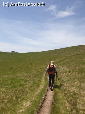 [P41] la pas prin munții Ciucaș » foto by robert
 - 
<span class="allrVoted glyphicon glyphicon-heart hidden" id="av1166137"></span>
<a class="m-l-10 hidden" id="sv1166137" onclick="voting_Foto_DelVot(,1166137,4696)" role="button">șterge vot <span class="glyphicon glyphicon-remove"></span></a>
<a id="v91166137" class=" c-red"  onclick="voting_Foto_SetVot(1166137)" role="button"><span class="glyphicon glyphicon-heart-empty"></span> <b>LIKE</b> = Votează poza</a> <img class="hidden"  id="f1166137W9" src="/imagini/loader.gif" border="0" /><span class="AjErrMes hidden" id="e1166137ErM"></span>