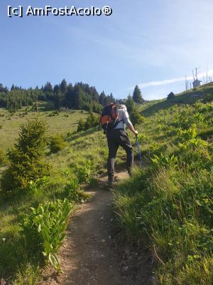 [P43] la pas prin munții Ciucaș » foto by robert
 - 
<span class="allrVoted glyphicon glyphicon-heart hidden" id="av1166139"></span>
<a class="m-l-10 hidden" id="sv1166139" onclick="voting_Foto_DelVot(,1166139,4696)" role="button">șterge vot <span class="glyphicon glyphicon-remove"></span></a>
<a id="v91166139" class=" c-red"  onclick="voting_Foto_SetVot(1166139)" role="button"><span class="glyphicon glyphicon-heart-empty"></span> <b>LIKE</b> = Votează poza</a> <img class="hidden"  id="f1166139W9" src="/imagini/loader.gif" border="0" /><span class="AjErrMes hidden" id="e1166139ErM"></span>