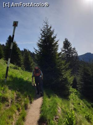 [P44] la pas prin munții Ciucaș » foto by robert
 - 
<span class="allrVoted glyphicon glyphicon-heart hidden" id="av1166140"></span>
<a class="m-l-10 hidden" id="sv1166140" onclick="voting_Foto_DelVot(,1166140,4696)" role="button">șterge vot <span class="glyphicon glyphicon-remove"></span></a>
<a id="v91166140" class=" c-red"  onclick="voting_Foto_SetVot(1166140)" role="button"><span class="glyphicon glyphicon-heart-empty"></span> <b>LIKE</b> = Votează poza</a> <img class="hidden"  id="f1166140W9" src="/imagini/loader.gif" border="0" /><span class="AjErrMes hidden" id="e1166140ErM"></span>