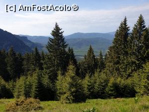 [P45] la pas prin munții Ciucaș » foto by robert
 - 
<span class="allrVoted glyphicon glyphicon-heart hidden" id="av1166141"></span>
<a class="m-l-10 hidden" id="sv1166141" onclick="voting_Foto_DelVot(,1166141,4696)" role="button">șterge vot <span class="glyphicon glyphicon-remove"></span></a>
<a id="v91166141" class=" c-red"  onclick="voting_Foto_SetVot(1166141)" role="button"><span class="glyphicon glyphicon-heart-empty"></span> <b>LIKE</b> = Votează poza</a> <img class="hidden"  id="f1166141W9" src="/imagini/loader.gif" border="0" /><span class="AjErrMes hidden" id="e1166141ErM"></span>