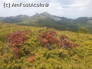 [P46] la pas prin munții Ciucaș » foto by robert
 - 
<span class="allrVoted glyphicon glyphicon-heart hidden" id="av1166142"></span>
<a class="m-l-10 hidden" id="sv1166142" onclick="voting_Foto_DelVot(,1166142,4696)" role="button">șterge vot <span class="glyphicon glyphicon-remove"></span></a>
<a id="v91166142" class=" c-red"  onclick="voting_Foto_SetVot(1166142)" role="button"><span class="glyphicon glyphicon-heart-empty"></span> <b>LIKE</b> = Votează poza</a> <img class="hidden"  id="f1166142W9" src="/imagini/loader.gif" border="0" /><span class="AjErrMes hidden" id="e1166142ErM"></span>