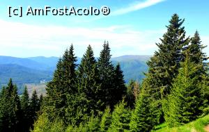 [P05] la pas prin Munții Ciucaș » foto by robert
 - 
<span class="allrVoted glyphicon glyphicon-heart hidden" id="av1166101"></span>
<a class="m-l-10 hidden" id="sv1166101" onclick="voting_Foto_DelVot(,1166101,4696)" role="button">șterge vot <span class="glyphicon glyphicon-remove"></span></a>
<a id="v91166101" class=" c-red"  onclick="voting_Foto_SetVot(1166101)" role="button"><span class="glyphicon glyphicon-heart-empty"></span> <b>LIKE</b> = Votează poza</a> <img class="hidden"  id="f1166101W9" src="/imagini/loader.gif" border="0" /><span class="AjErrMes hidden" id="e1166101ErM"></span>