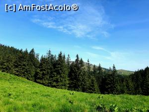 [P06] la pas prin Munții Ciucaș » foto by robert
 - 
<span class="allrVoted glyphicon glyphicon-heart hidden" id="av1166102"></span>
<a class="m-l-10 hidden" id="sv1166102" onclick="voting_Foto_DelVot(,1166102,4696)" role="button">șterge vot <span class="glyphicon glyphicon-remove"></span></a>
<a id="v91166102" class=" c-red"  onclick="voting_Foto_SetVot(1166102)" role="button"><span class="glyphicon glyphicon-heart-empty"></span> <b>LIKE</b> = Votează poza</a> <img class="hidden"  id="f1166102W9" src="/imagini/loader.gif" border="0" /><span class="AjErrMes hidden" id="e1166102ErM"></span>