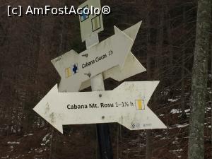 [P11] Jonctiunea cu drumul ce vine pe Valea Berii este la jumatatea traseului nostru » foto by Dan&Ema
 - 
<span class="allrVoted glyphicon glyphicon-heart hidden" id="av918113"></span>
<a class="m-l-10 hidden" id="sv918113" onclick="voting_Foto_DelVot(,918113,4696)" role="button">șterge vot <span class="glyphicon glyphicon-remove"></span></a>
<a id="v9918113" class=" c-red"  onclick="voting_Foto_SetVot(918113)" role="button"><span class="glyphicon glyphicon-heart-empty"></span> <b>LIKE</b> = Votează poza</a> <img class="hidden"  id="f918113W9" src="/imagini/loader.gif" border="0" /><span class="AjErrMes hidden" id="e918113ErM"></span>