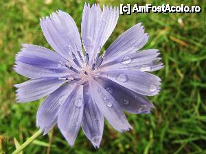 [P05]  -- <small>// FĂRĂ DESCRIERE</small> » foto by no_oxigen
 - 
<span class="allrVoted glyphicon glyphicon-heart hidden" id="av422485"></span>
<a class="m-l-10 hidden" id="sv422485" onclick="voting_Foto_DelVot(,422485,4696)" role="button">șterge vot <span class="glyphicon glyphicon-remove"></span></a>
<a id="v9422485" class=" c-red"  onclick="voting_Foto_SetVot(422485)" role="button"><span class="glyphicon glyphicon-heart-empty"></span> <b>LIKE</b> = Votează poza</a> <img class="hidden"  id="f422485W9" src="/imagini/loader.gif" border="0" /><span class="AjErrMes hidden" id="e422485ErM"></span>