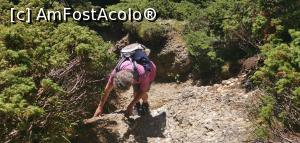 [P29] Uneori cam așa. » foto by Aurici
 - 
<span class="allrVoted glyphicon glyphicon-heart hidden" id="av1191136"></span>
<a class="m-l-10 hidden" id="sv1191136" onclick="voting_Foto_DelVot(,1191136,4696)" role="button">șterge vot <span class="glyphicon glyphicon-remove"></span></a>
<a id="v91191136" class=" c-red"  onclick="voting_Foto_SetVot(1191136)" role="button"><span class="glyphicon glyphicon-heart-empty"></span> <b>LIKE</b> = Votează poza</a> <img class="hidden"  id="f1191136W9" src="/imagini/loader.gif" border="0" /><span class="AjErrMes hidden" id="e1191136ErM"></span>
