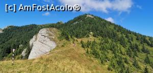 [P33] De acolo de sus veneam, aici, la Piatra Vulturilor am făcut pauză de masă (covrig și biscuiți). » foto by Aurici
 - 
<span class="allrVoted glyphicon glyphicon-heart hidden" id="av1191140"></span>
<a class="m-l-10 hidden" id="sv1191140" onclick="voting_Foto_DelVot(,1191140,4696)" role="button">șterge vot <span class="glyphicon glyphicon-remove"></span></a>
<a id="v91191140" class=" c-red"  onclick="voting_Foto_SetVot(1191140)" role="button"><span class="glyphicon glyphicon-heart-empty"></span> <b>LIKE</b> = Votează poza</a> <img class="hidden"  id="f1191140W9" src="/imagini/loader.gif" border="0" /><span class="AjErrMes hidden" id="e1191140ErM"></span>