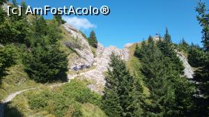 [P41] Vârful Zăganu, coborâm. » foto by Aurici
 - 
<span class="allrVoted glyphicon glyphicon-heart hidden" id="av1191148"></span>
<a class="m-l-10 hidden" id="sv1191148" onclick="voting_Foto_DelVot(,1191148,4696)" role="button">șterge vot <span class="glyphicon glyphicon-remove"></span></a>
<a id="v91191148" class=" c-red"  onclick="voting_Foto_SetVot(1191148)" role="button"><span class="glyphicon glyphicon-heart-empty"></span> <b>LIKE</b> = Votează poza</a> <img class="hidden"  id="f1191148W9" src="/imagini/loader.gif" border="0" /><span class="AjErrMes hidden" id="e1191148ErM"></span>