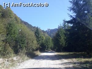 [P01] Drumul forestier până la cabană nu a fost prea îmbietor pentru noi, așa că am ajuns cu mașina până sus, chiar dacă în general nu suntem de acord cu asta. » foto by Aurici
 - 
<span class="allrVoted glyphicon glyphicon-heart hidden" id="av906066"></span>
<a class="m-l-10 hidden" id="sv906066" onclick="voting_Foto_DelVot(,906066,4696)" role="button">șterge vot <span class="glyphicon glyphicon-remove"></span></a>
<a id="v9906066" class=" c-red"  onclick="voting_Foto_SetVot(906066)" role="button"><span class="glyphicon glyphicon-heart-empty"></span> <b>LIKE</b> = Votează poza</a> <img class="hidden"  id="f906066W9" src="/imagini/loader.gif" border="0" /><span class="AjErrMes hidden" id="e906066ErM"></span>