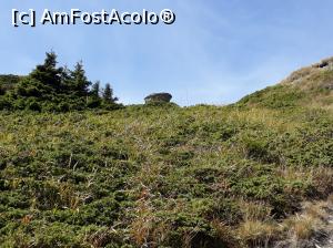 [P25] Masa la care am fi vrut sa facem un picnic.  » foto by Aurici
 - 
<span class="allrVoted glyphicon glyphicon-heart hidden" id="av906090"></span>
<a class="m-l-10 hidden" id="sv906090" onclick="voting_Foto_DelVot(,906090,4696)" role="button">șterge vot <span class="glyphicon glyphicon-remove"></span></a>
<a id="v9906090" class=" c-red"  onclick="voting_Foto_SetVot(906090)" role="button"><span class="glyphicon glyphicon-heart-empty"></span> <b>LIKE</b> = Votează poza</a> <img class="hidden"  id="f906090W9" src="/imagini/loader.gif" border="0" /><span class="AjErrMes hidden" id="e906090ErM"></span>