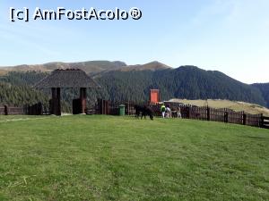 [P29] Si o ultima privire din curtea cabanei spre intrare, magarusi si Masivul Ciucas.  » foto by Aurici
 - 
<span class="allrVoted glyphicon glyphicon-heart hidden" id="av906094"></span>
<a class="m-l-10 hidden" id="sv906094" onclick="voting_Foto_DelVot(,906094,4696)" role="button">șterge vot <span class="glyphicon glyphicon-remove"></span></a>
<a id="v9906094" class=" c-red"  onclick="voting_Foto_SetVot(906094)" role="button"><span class="glyphicon glyphicon-heart-empty"></span> <b>LIKE</b> = Votează poza</a> <img class="hidden"  id="f906094W9" src="/imagini/loader.gif" border="0" /><span class="AjErrMes hidden" id="e906094ErM"></span>