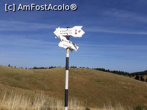 [P06] În spatele cabanei indicatoare pentru trasee mai lungi sau mai scurte. » foto by Aurici
 - 
<span class="allrVoted glyphicon glyphicon-heart hidden" id="av906071"></span>
<a class="m-l-10 hidden" id="sv906071" onclick="voting_Foto_DelVot(,906071,4696)" role="button">șterge vot <span class="glyphicon glyphicon-remove"></span></a>
<a id="v9906071" class=" c-red"  onclick="voting_Foto_SetVot(906071)" role="button"><span class="glyphicon glyphicon-heart-empty"></span> <b>LIKE</b> = Votează poza</a> <img class="hidden"  id="f906071W9" src="/imagini/loader.gif" border="0" /><span class="AjErrMes hidden" id="e906071ErM"></span>