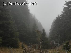 [P10] Ceața ne-a insoțit permanent » foto by Mika
 - 
<span class="allrVoted glyphicon glyphicon-heart hidden" id="av1206293"></span>
<a class="m-l-10 hidden" id="sv1206293" onclick="voting_Foto_DelVot(,1206293,4696)" role="button">șterge vot <span class="glyphicon glyphicon-remove"></span></a>
<a id="v91206293" class=" c-red"  onclick="voting_Foto_SetVot(1206293)" role="button"><span class="glyphicon glyphicon-heart-empty"></span> <b>LIKE</b> = Votează poza</a> <img class="hidden"  id="f1206293W9" src="/imagini/loader.gif" border="0" /><span class="AjErrMes hidden" id="e1206293ErM"></span>