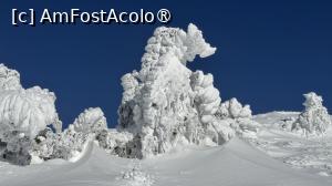 [P21] Munții Ciucaș - de la Bratocea pe Vârful Ciucaș » foto by Mika
 - 
<span class="allrVoted glyphicon glyphicon-heart hidden" id="av1516095"></span>
<a class="m-l-10 hidden" id="sv1516095" onclick="voting_Foto_DelVot(,1516095,4696)" role="button">șterge vot <span class="glyphicon glyphicon-remove"></span></a>
<a id="v91516095" class=" c-red"  onclick="voting_Foto_SetVot(1516095)" role="button"><span class="glyphicon glyphicon-heart-empty"></span> <b>LIKE</b> = Votează poza</a> <img class="hidden"  id="f1516095W9" src="/imagini/loader.gif" border="0" /><span class="AjErrMes hidden" id="e1516095ErM"></span>