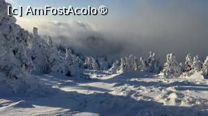 [P44] Munții Ciucaș - de la Bratocea pe Vârful Ciucaș » foto by Mika
 - 
<span class="allrVoted glyphicon glyphicon-heart hidden" id="av1516118"></span>
<a class="m-l-10 hidden" id="sv1516118" onclick="voting_Foto_DelVot(,1516118,4696)" role="button">șterge vot <span class="glyphicon glyphicon-remove"></span></a>
<a id="v91516118" class=" c-red"  onclick="voting_Foto_SetVot(1516118)" role="button"><span class="glyphicon glyphicon-heart-empty"></span> <b>LIKE</b> = Votează poza</a> <img class="hidden"  id="f1516118W9" src="/imagini/loader.gif" border="0" /><span class="AjErrMes hidden" id="e1516118ErM"></span>