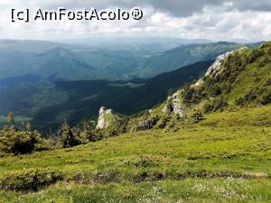 [P17]  -- <small>// FĂRĂ DESCRIERE</small> » foto by Mika
 - 
<span class="allrVoted glyphicon glyphicon-heart hidden" id="av1080441"></span>
<a class="m-l-10 hidden" id="sv1080441" onclick="voting_Foto_DelVot(,1080441,4696)" role="button">șterge vot <span class="glyphicon glyphicon-remove"></span></a>
<a id="v91080441" class=" c-red"  onclick="voting_Foto_SetVot(1080441)" role="button"><span class="glyphicon glyphicon-heart-empty"></span> <b>LIKE</b> = Votează poza</a> <img class="hidden"  id="f1080441W9" src="/imagini/loader.gif" border="0" /><span class="AjErrMes hidden" id="e1080441ErM"></span>