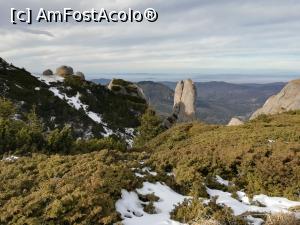 [P11] Decembrie, Gemenii Ciucașului. In august nu am reușit să ii văd » foto by Mika
 - 
<span class="allrVoted glyphicon glyphicon-heart hidden" id="av1160772"></span>
<a class="m-l-10 hidden" id="sv1160772" onclick="voting_Foto_DelVot(,1160772,4696)" role="button">șterge vot <span class="glyphicon glyphicon-remove"></span></a>
<a id="v91160772" class=" c-red"  onclick="voting_Foto_SetVot(1160772)" role="button"><span class="glyphicon glyphicon-heart-empty"></span> <b>LIKE</b> = Votează poza</a> <img class="hidden"  id="f1160772W9" src="/imagini/loader.gif" border="0" /><span class="AjErrMes hidden" id="e1160772ErM"></span>