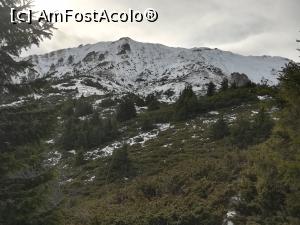 [P14] Din Șaua Ciucaș se vede Vârful Ciucaș » foto by Mika
 - 
<span class="allrVoted glyphicon glyphicon-heart hidden" id="av1160775"></span>
<a class="m-l-10 hidden" id="sv1160775" onclick="voting_Foto_DelVot(,1160775,4696)" role="button">șterge vot <span class="glyphicon glyphicon-remove"></span></a>
<a id="v91160775" class=" c-red"  onclick="voting_Foto_SetVot(1160775)" role="button"><span class="glyphicon glyphicon-heart-empty"></span> <b>LIKE</b> = Votează poza</a> <img class="hidden"  id="f1160775W9" src="/imagini/loader.gif" border="0" /><span class="AjErrMes hidden" id="e1160775ErM"></span>