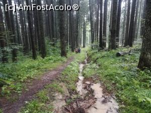 [P02] In august, din Poiana Dălghiu spre Șaua Ciucaș » foto by Mika
 - 
<span class="allrVoted glyphicon glyphicon-heart hidden" id="av1160763"></span>
<a class="m-l-10 hidden" id="sv1160763" onclick="voting_Foto_DelVot(,1160763,4696)" role="button">șterge vot <span class="glyphicon glyphicon-remove"></span></a>
<a id="v91160763" class=" c-red"  onclick="voting_Foto_SetVot(1160763)" role="button"><span class="glyphicon glyphicon-heart-empty"></span> <b>LIKE</b> = Votează poza</a> <img class="hidden"  id="f1160763W9" src="/imagini/loader.gif" border="0" /><span class="AjErrMes hidden" id="e1160763ErM"></span>