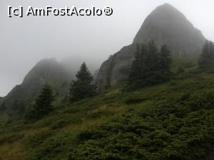 [P35] August - coborârea spre Cabana Vârful Ciucaș » foto by Mika
 - 
<span class="allrVoted glyphicon glyphicon-heart hidden" id="av1160796"></span>
<a class="m-l-10 hidden" id="sv1160796" onclick="voting_Foto_DelVot(,1160796,4696)" role="button">șterge vot <span class="glyphicon glyphicon-remove"></span></a>
<a id="v91160796" class=" c-red"  onclick="voting_Foto_SetVot(1160796)" role="button"><span class="glyphicon glyphicon-heart-empty"></span> <b>LIKE</b> = Votează poza</a> <img class="hidden"  id="f1160796W9" src="/imagini/loader.gif" border="0" /><span class="AjErrMes hidden" id="e1160796ErM"></span>