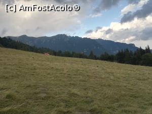 [P37] Masivul Ciucaș » foto by Mika
 - 
<span class="allrVoted glyphicon glyphicon-heart hidden" id="av1160798"></span>
<a class="m-l-10 hidden" id="sv1160798" onclick="voting_Foto_DelVot(,1160798,4696)" role="button">șterge vot <span class="glyphicon glyphicon-remove"></span></a>
<a id="v91160798" class=" c-red"  onclick="voting_Foto_SetVot(1160798)" role="button"><span class="glyphicon glyphicon-heart-empty"></span> <b>LIKE</b> = Votează poza</a> <img class="hidden"  id="f1160798W9" src="/imagini/loader.gif" border="0" /><span class="AjErrMes hidden" id="e1160798ErM"></span>